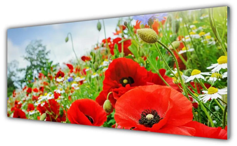 Obraz na akrylátovom skle Kvety príroda 125x50 cm