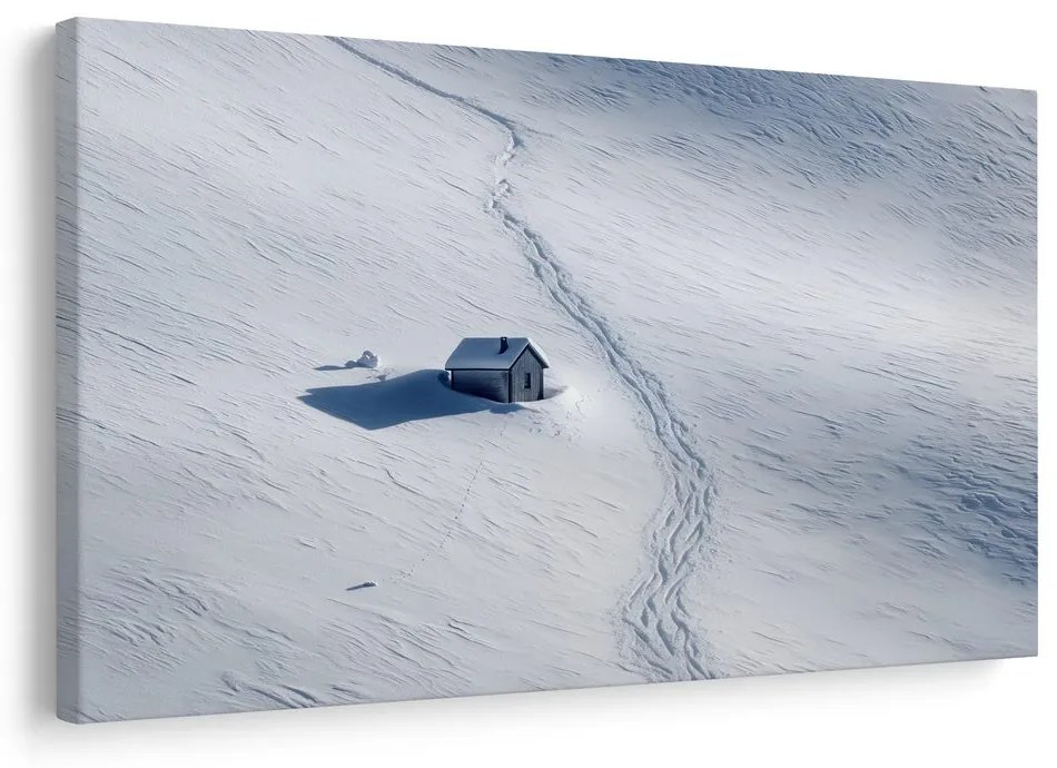 Obraz zasnežená krajina s chalúpkou