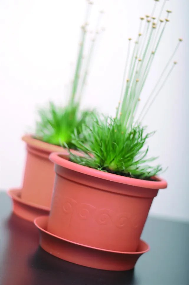 Kvetináč Plastica terakota