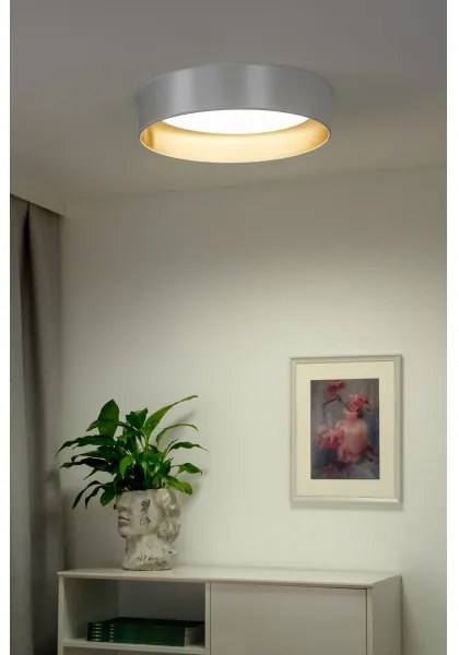Duolla - LED Stropné svietidlo ROLLER LED/24W/230V pr. 45 cm strieborná/zlatá