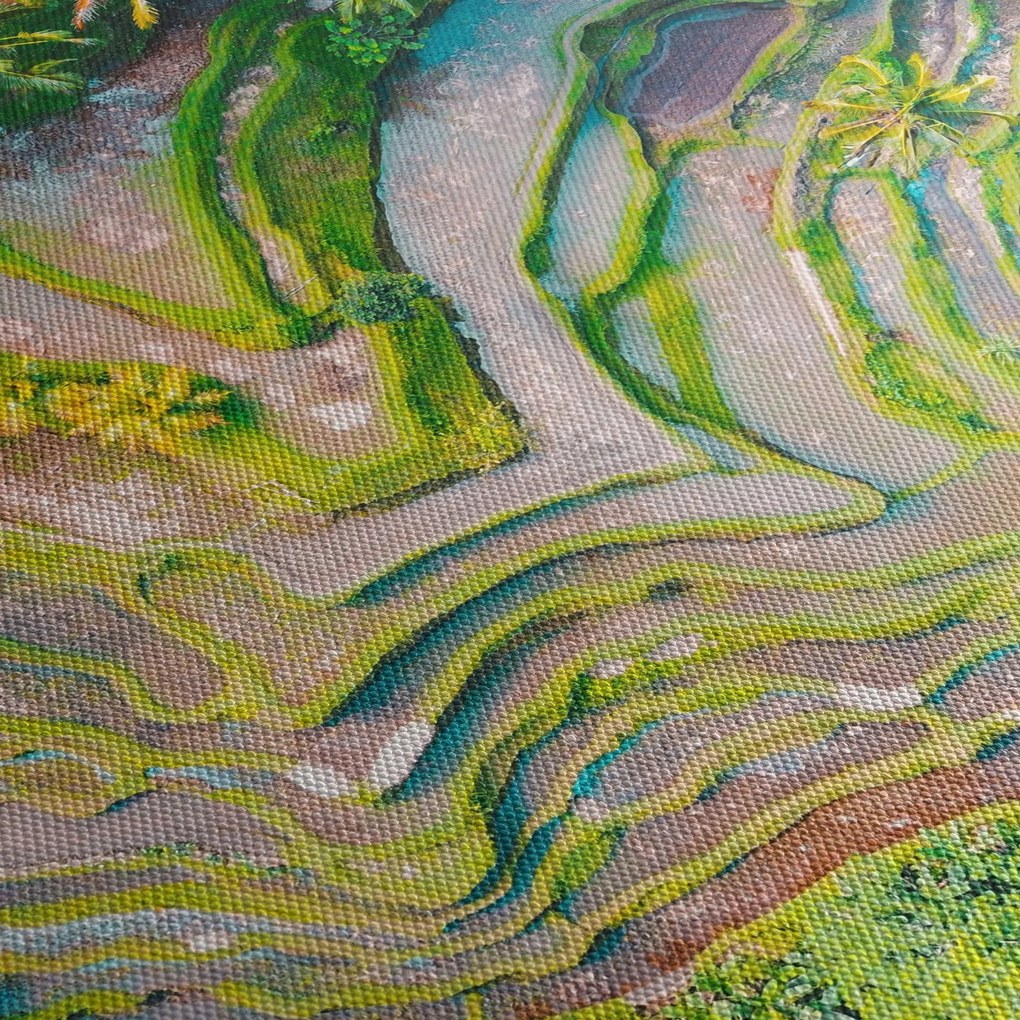Obraz ryžových polí z vtáčej perspektívy (70x50 cm)