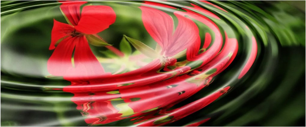 Abstraktný obraz - kvety vo vlnách (120x50 cm)