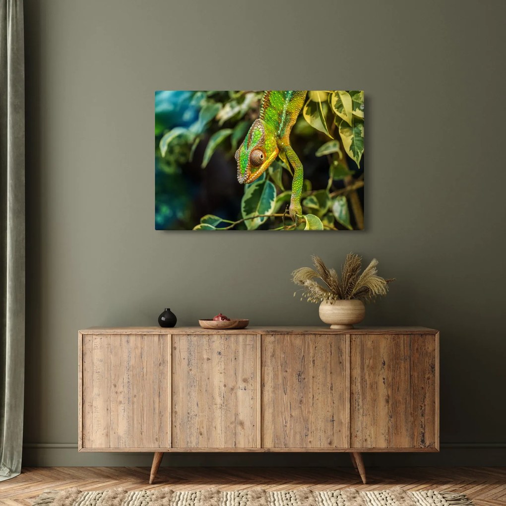 Obraz chameleóna (90x60 cm)