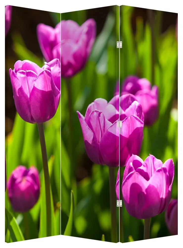 Paraván - Tulipány na lúke (126x170 cm)