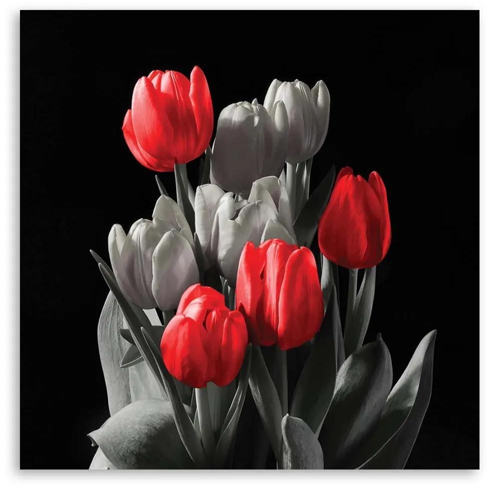 Obraz na plátně Tulipánové květiny Červená šedá - 50x50 cm