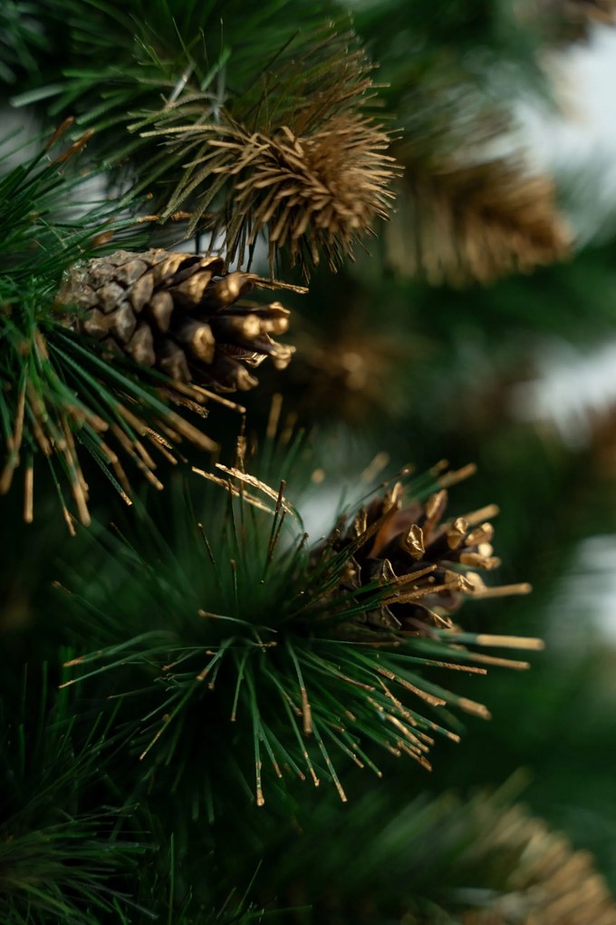 Limpol Borovica Verona zlatá 150 cm