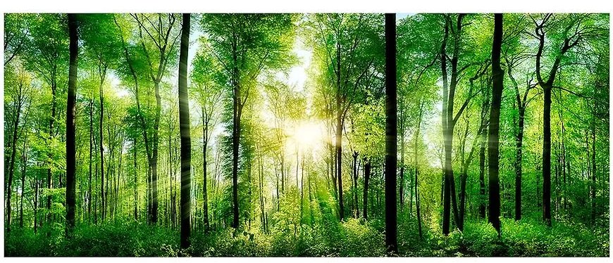 Obraz Glas Nature 50x125 EX121 Sunlight