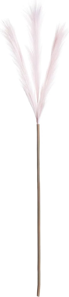 Pampová tráva 100cm light pink