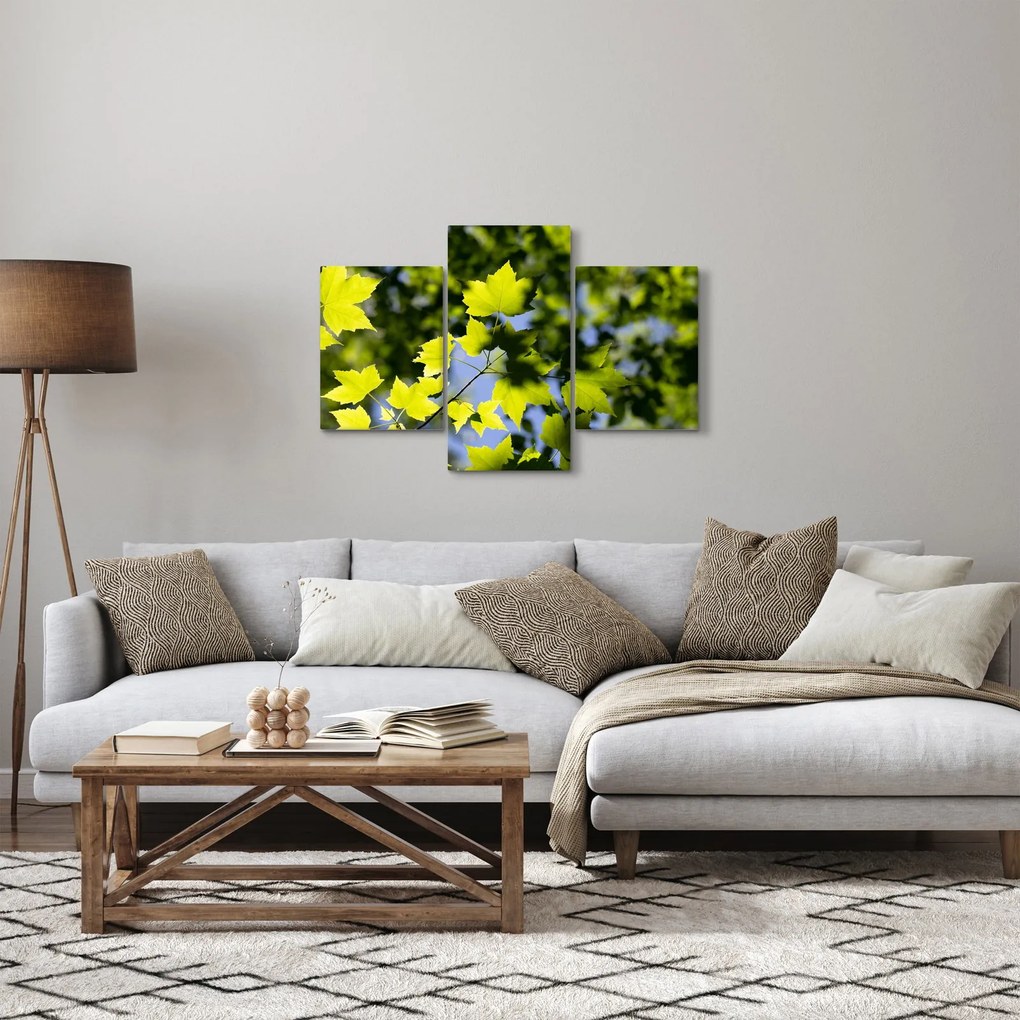 Obraz - javorové listy (90x60 cm)