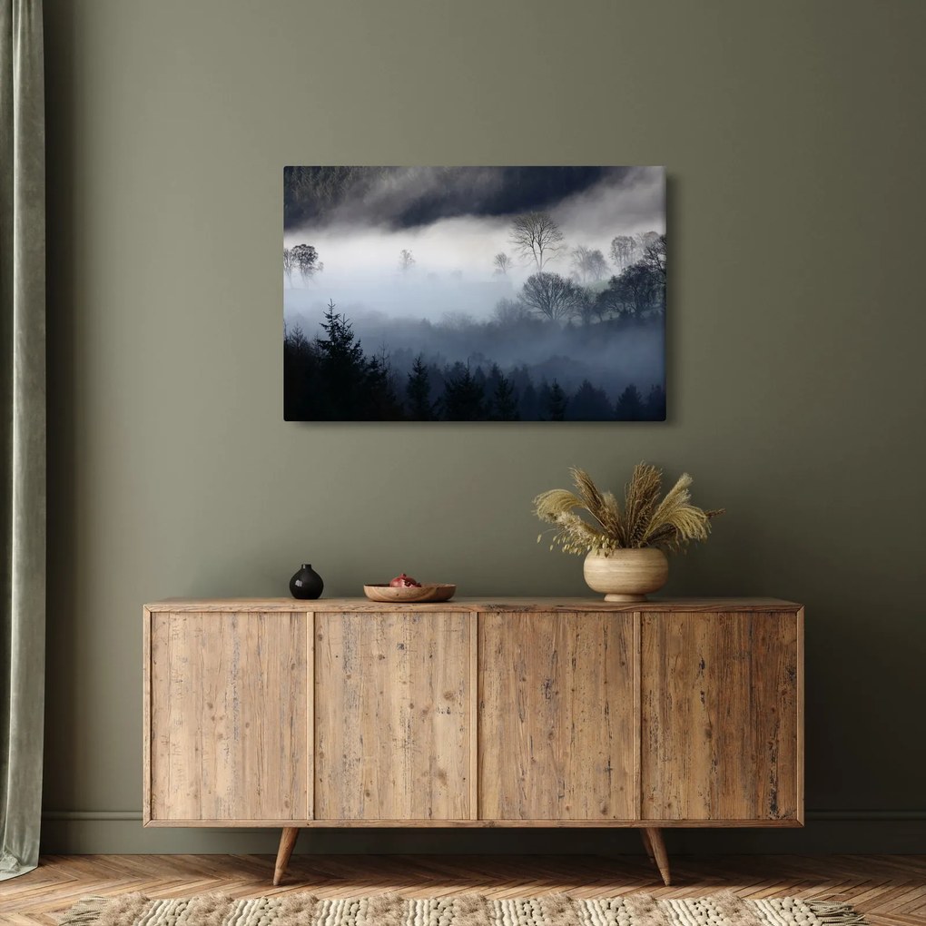 Obraz hmly nad lesom (90x60 cm)
