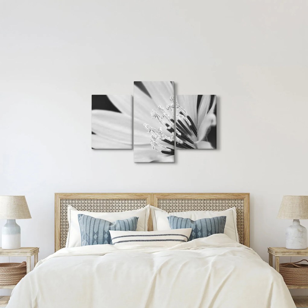 Obraz - Čiernobiely kvet (90x60 cm)