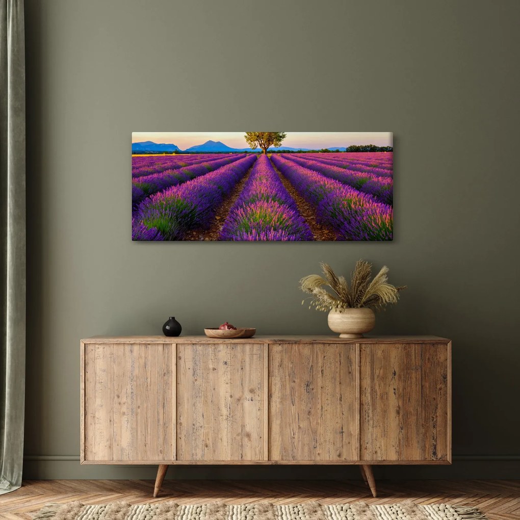 Obraz - Levanduľové pole (120x50 cm)