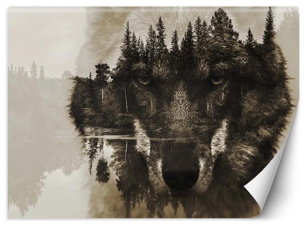 Fototapeta, Vlk lesní zvíře v mlze - 200x140 cm