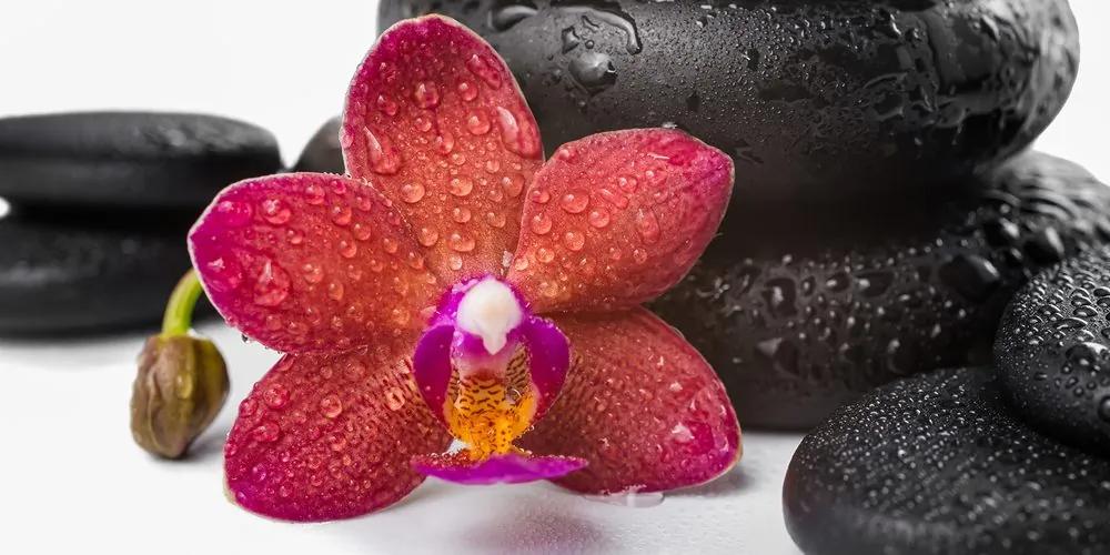 Obraz zen zátišie a orchidea