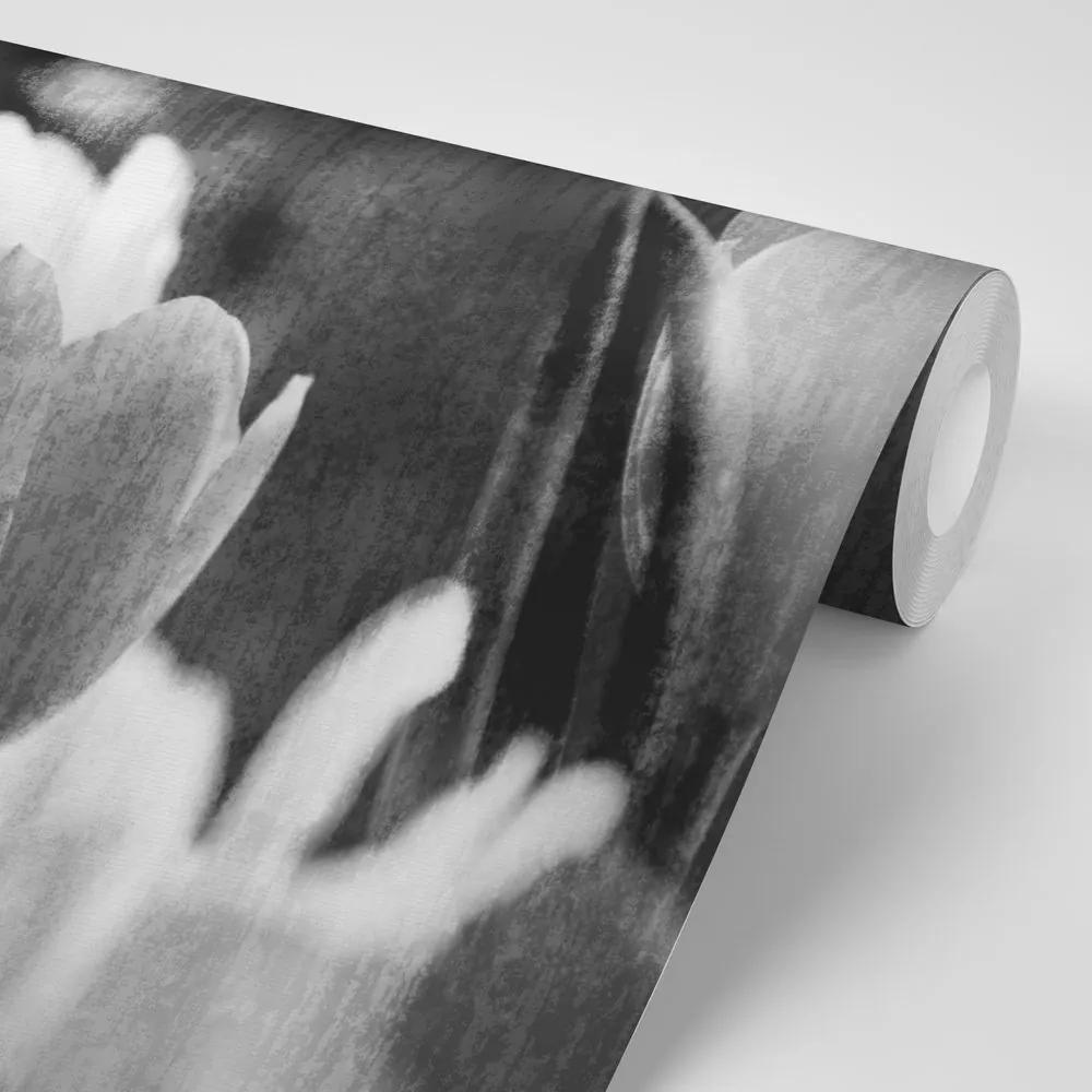 Samolepiaca tapeta čiernobiele tulipány v retro štýle - 450x300