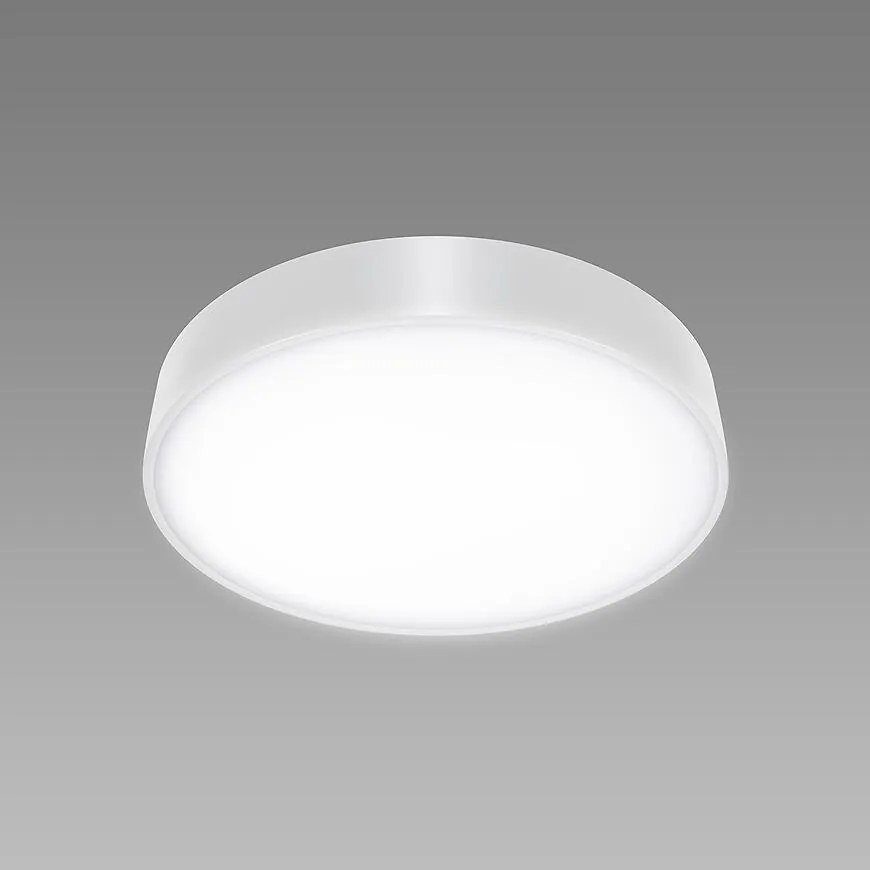 Stropné svietidlo TOTEM LED C 24 W NW WHITE 04090 PL1