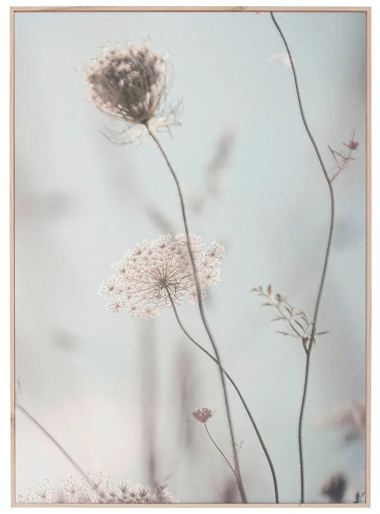 XXXLutz OBRAZ NA PLÁTNE, kvety, 50/70 cm Monee - Obrazy - 0050900209