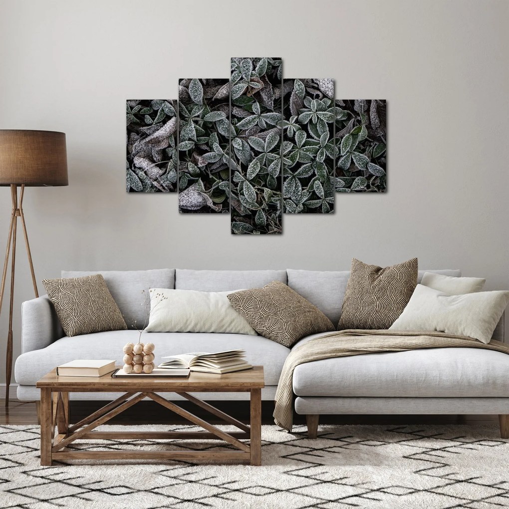 Obraz - Zamrznuté rastliny (150x105 cm)