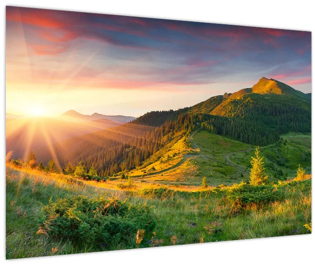 Obraz - Letná krajina (90x60 cm)