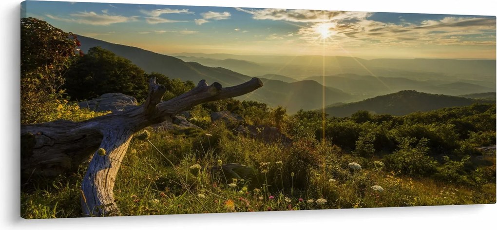 Obraz - Výhľad do okolia (120x50 cm)
