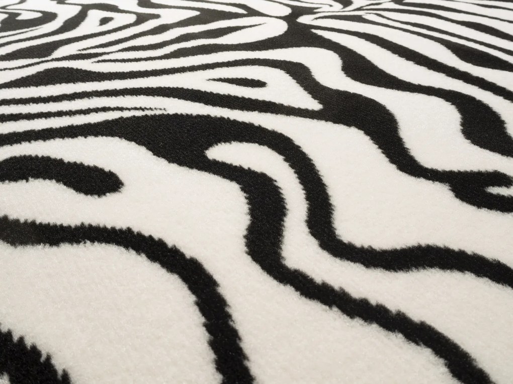 Alfa Carpets Kusový koberec Zebra black/white - 120x170 cm