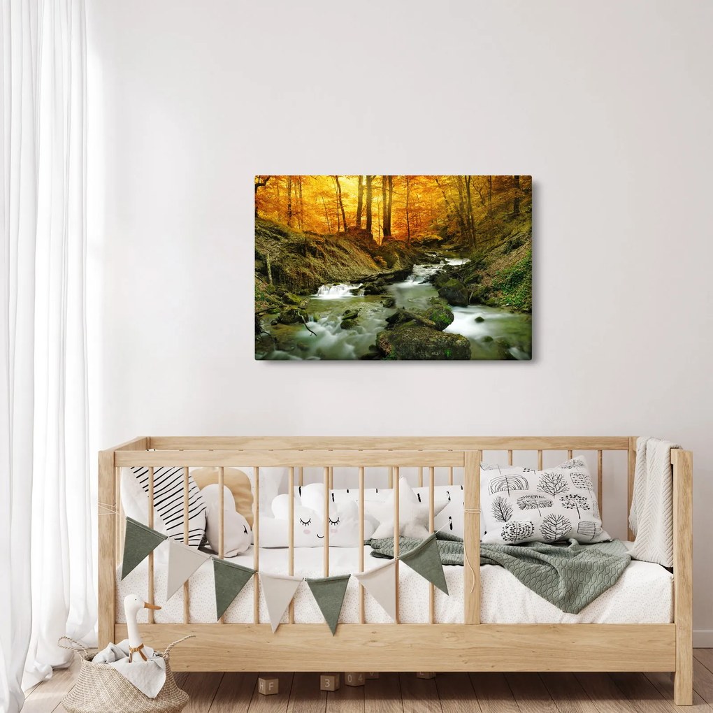 Obraz - Les (90x60 cm)
