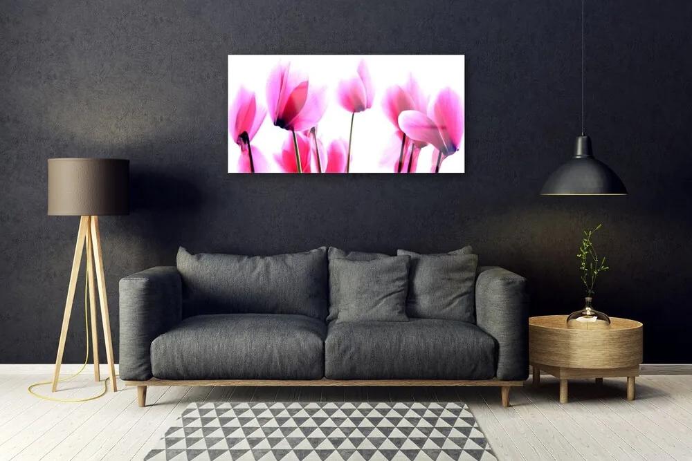 Obraz na skle Kvetiny rastlina 125x50 cm
