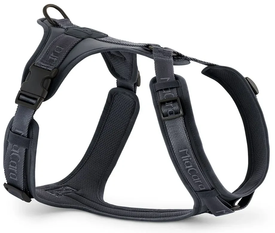 Tmavosivý postroj veľkosť L dĺžka 42 cm Modena Asphalt L – MiaCara