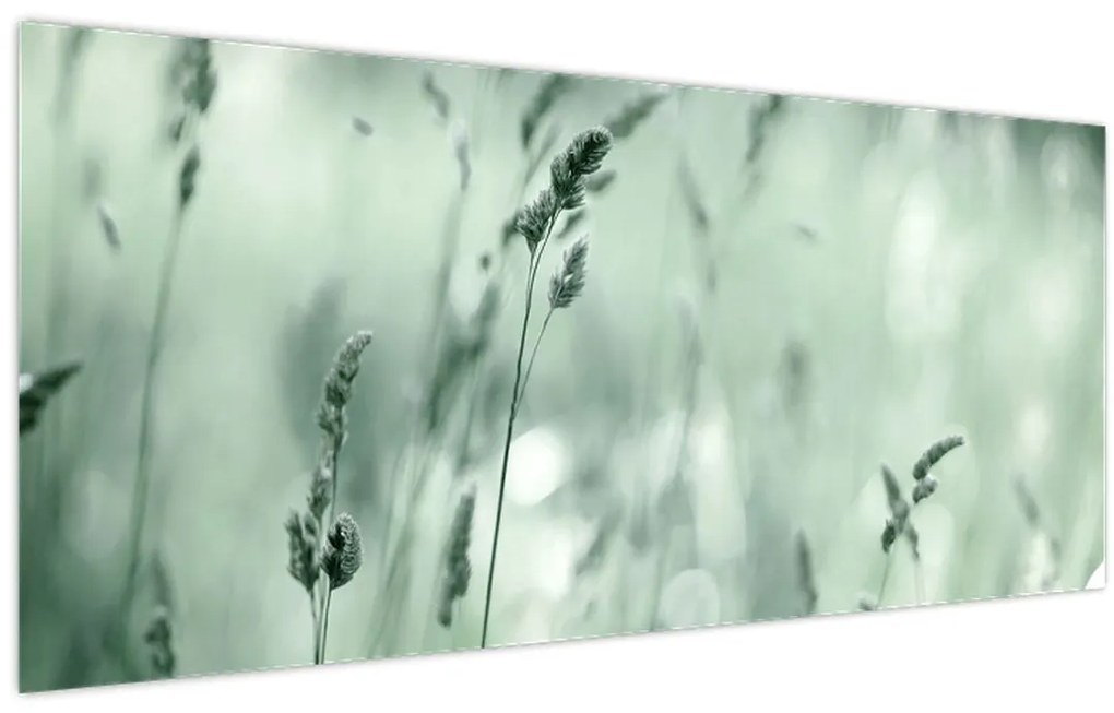 Obraz - Zelená lúka (120x50 cm)