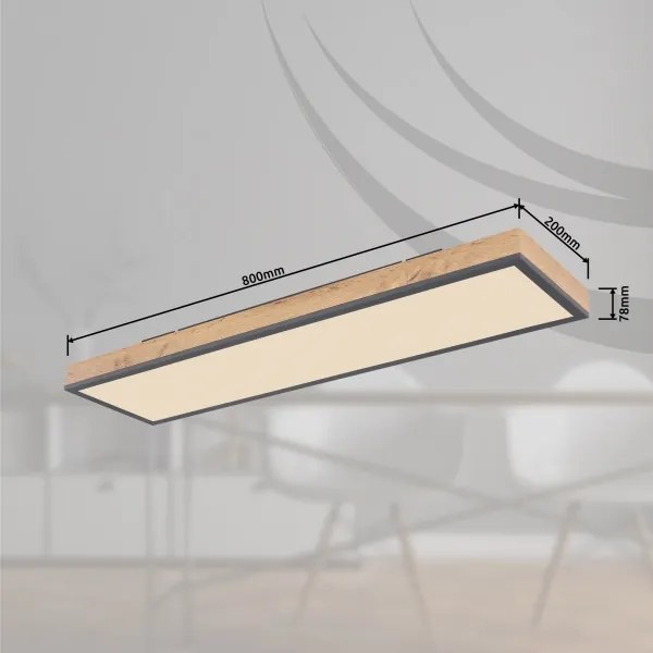 Globo 416080WD4-CCT - LED Stmievateľné stropné svietidlo DORO LED/24W/230V + DO