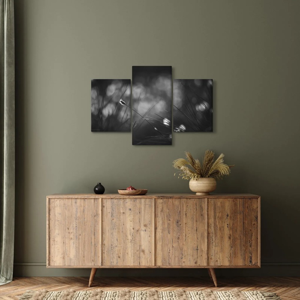Obraz - Lúčna tráva (90x60 cm)