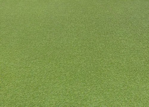 Koberce Breno Umelá tráva BOBBY, šíře role 400 cm