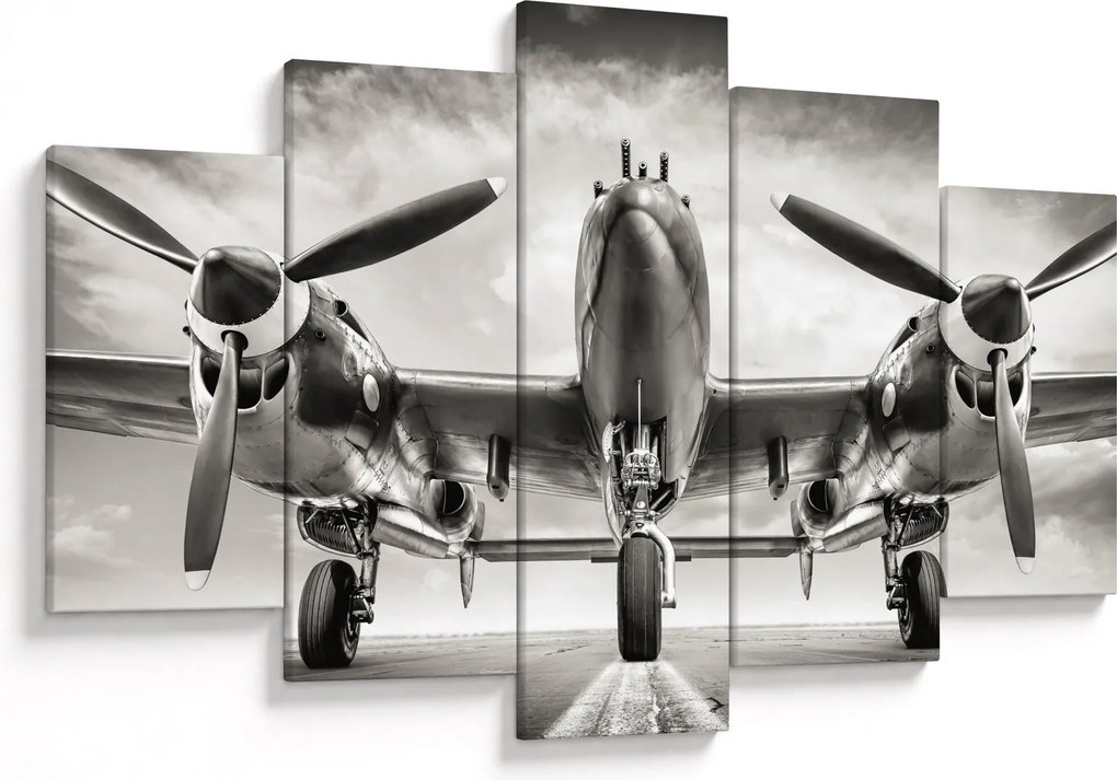 Obraz - Warbird (150x105 cm)