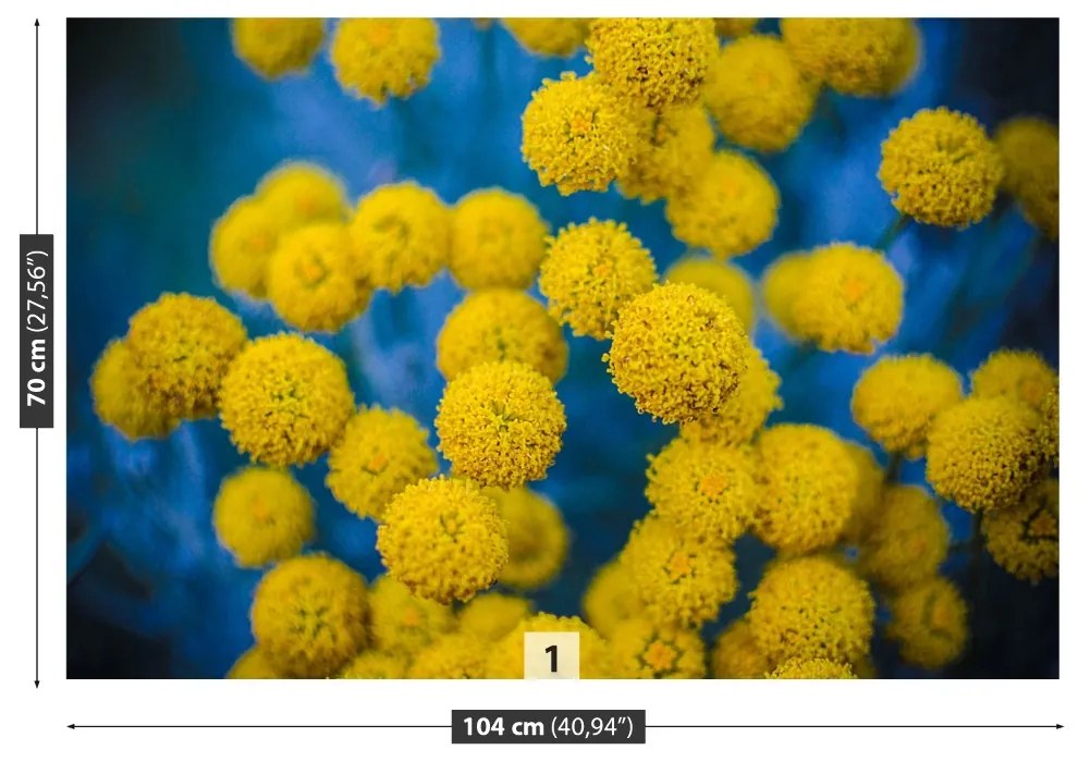 Fototapeta Vliesová Žlté kvety 152x104 cm