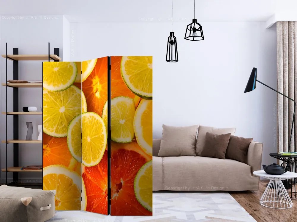 Artgeist Paraván - Citrus fruits [Room Dividers]