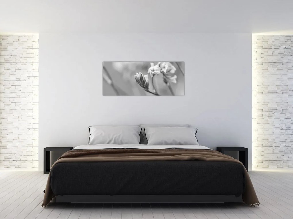 Obraz - Rozkvitnutý kvet (120x50 cm)
