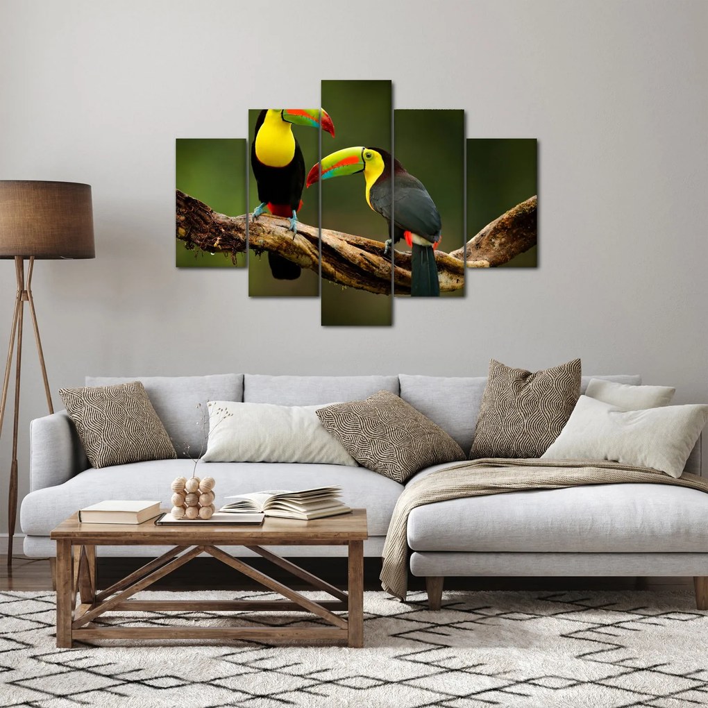 Obraz sediacich tukanov, Costa Rica (150x105 cm)