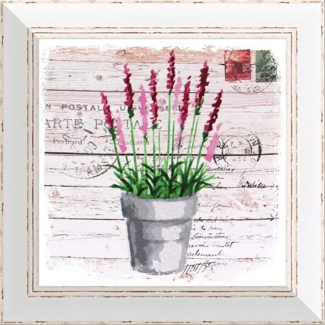 Rámovaný obraz 30x30cm FAP507