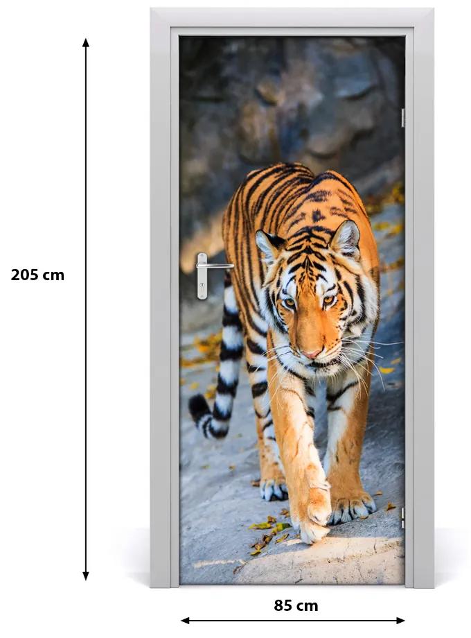 Samolepiace fototapety na dvere tiger 85x205 cm