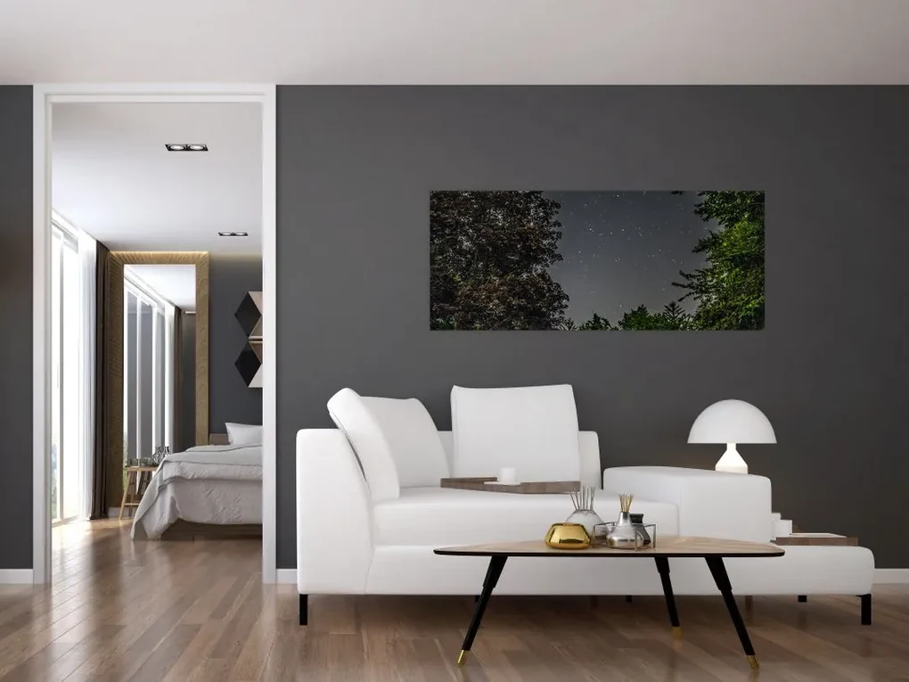 Obraz nočnej oblohy (120x50 cm)
