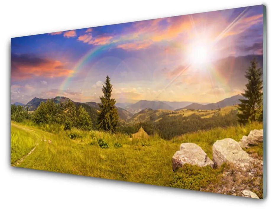 Skleneny obraz Hory lúka kamene príroda 100x50 cm