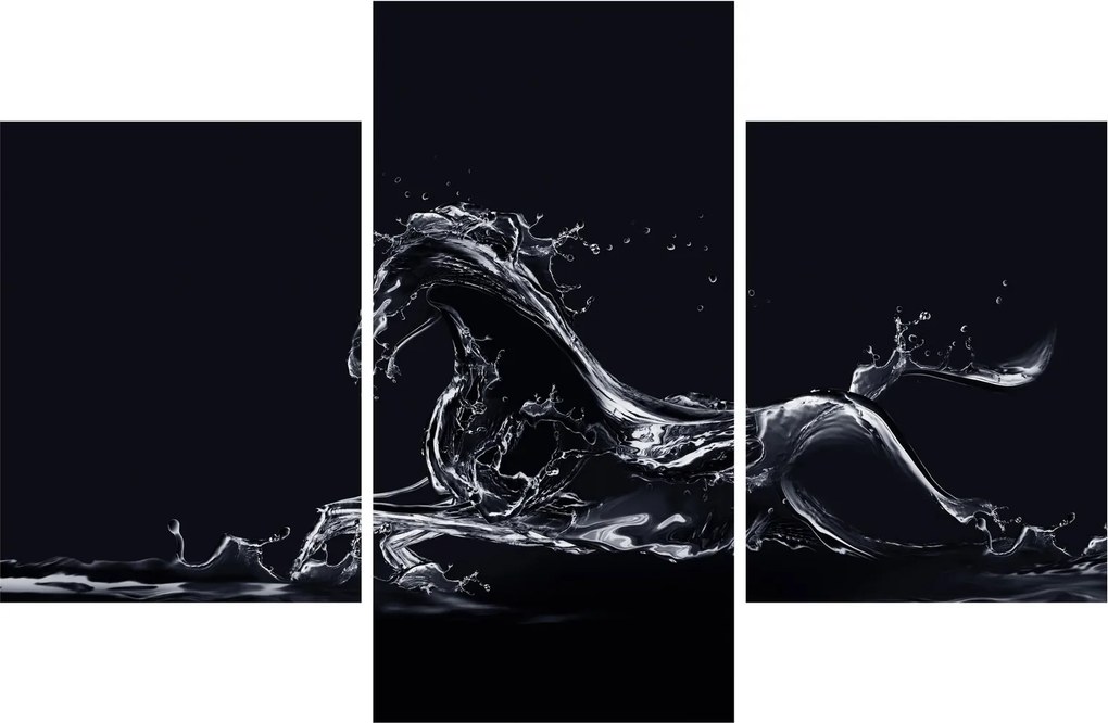 Obraz - Kôň a voda (90x60 cm)