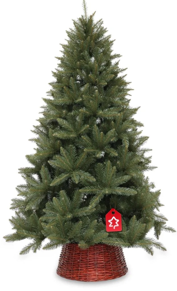 Smrek Kavkazský 210 cm