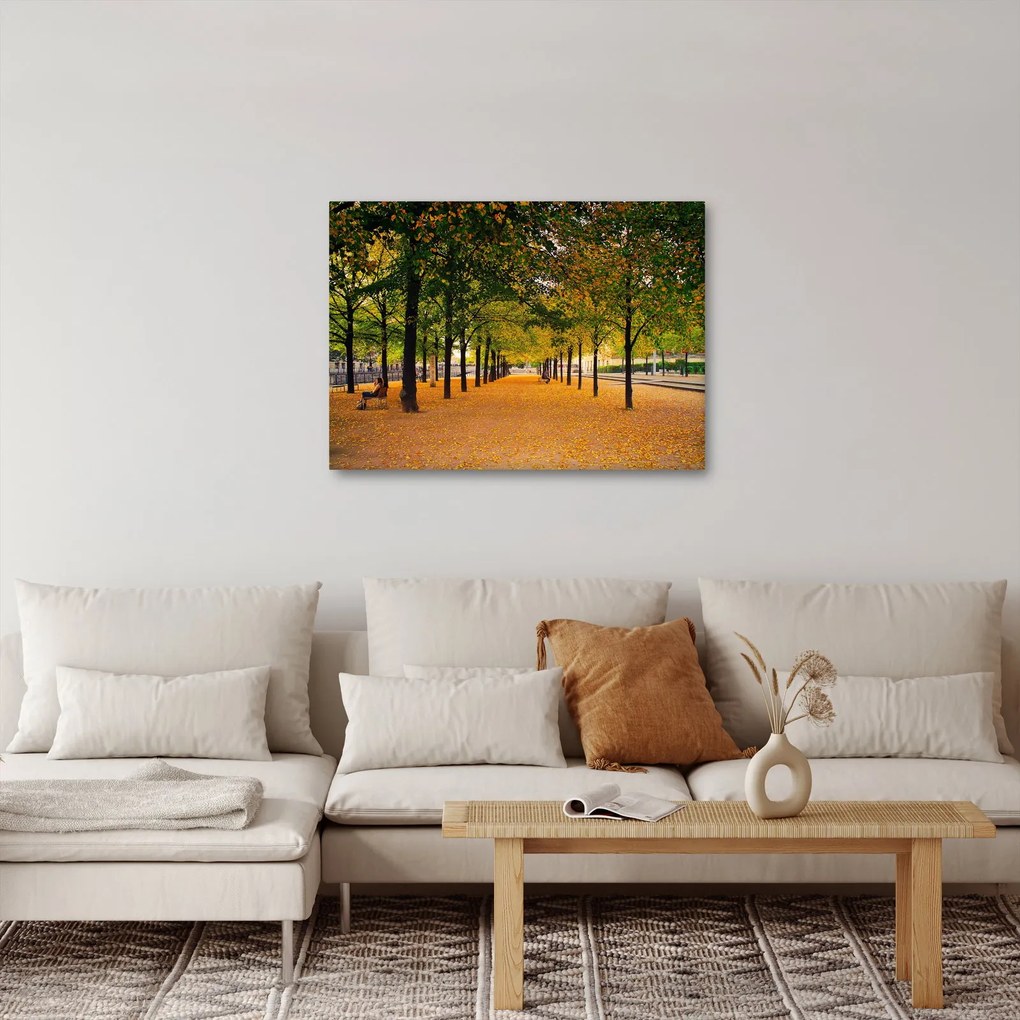 Obraz aleje jesenných stromov (70x50 cm)