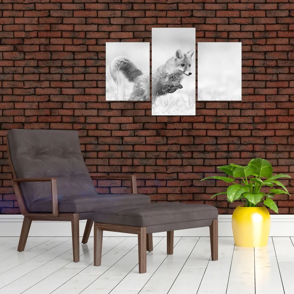 Obraz - Skákajúca líška, čiernobiela (90x60 cm)