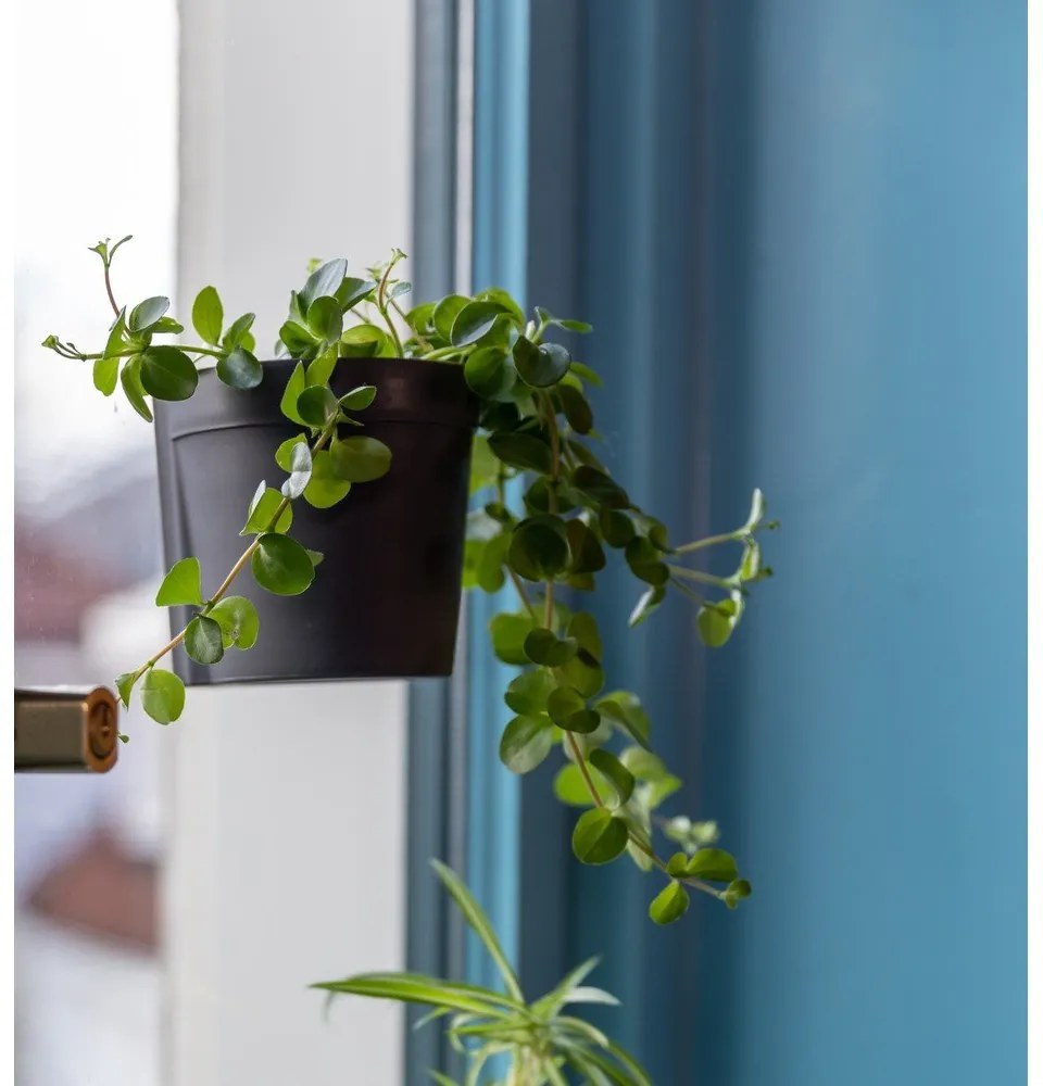 Plastové závesné a nástenné kvetináče v súprave 2 ks ø 10 cm – Esschert Design