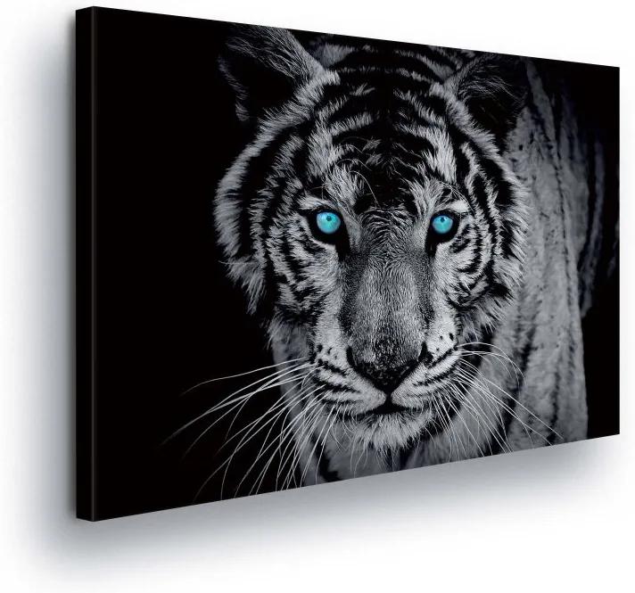 GLIX Obraz na plátne - Tiger View III 100x75 cm