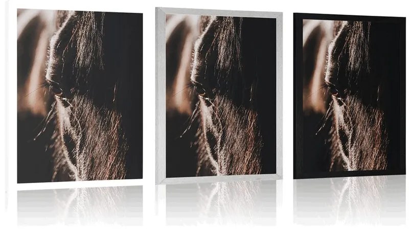 Plagát majestátny kôň - 40x60 white