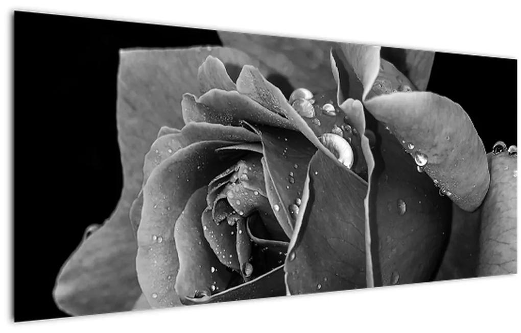Obraz ruža - čiernobiela (120x50 cm)