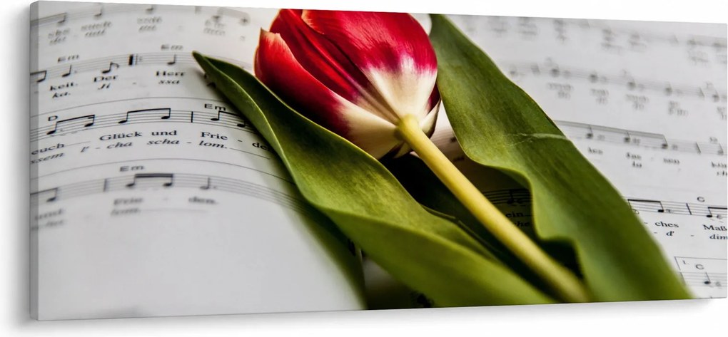 Obraz červeného tulipánu (120x50 cm)